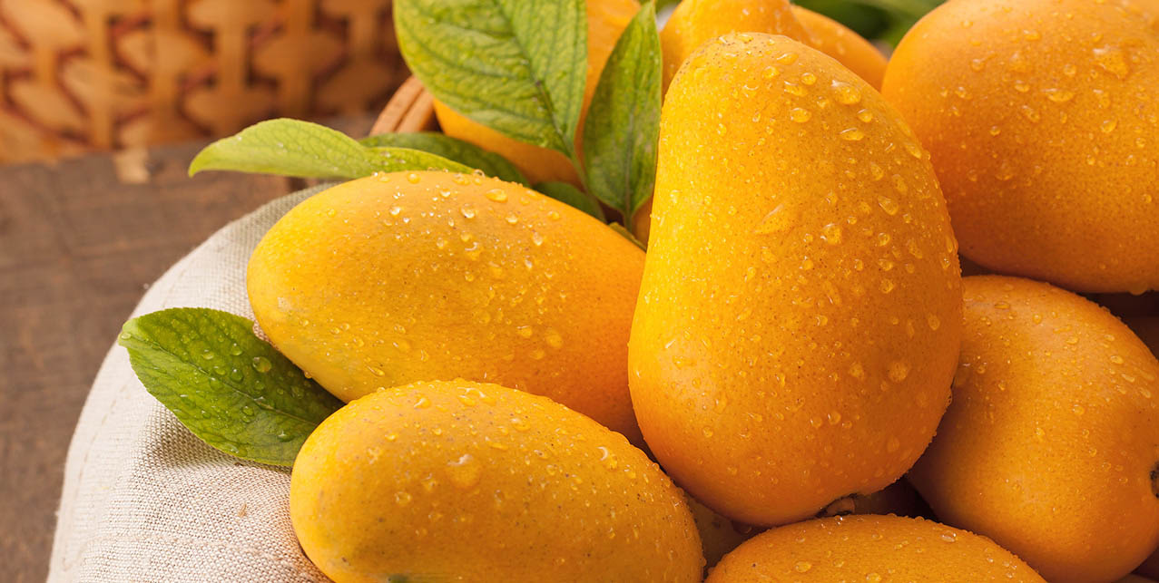 Mango