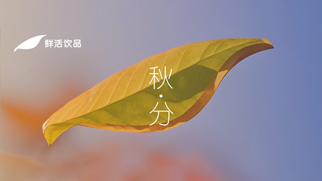 秋分丨叶落知秋，丰收在望