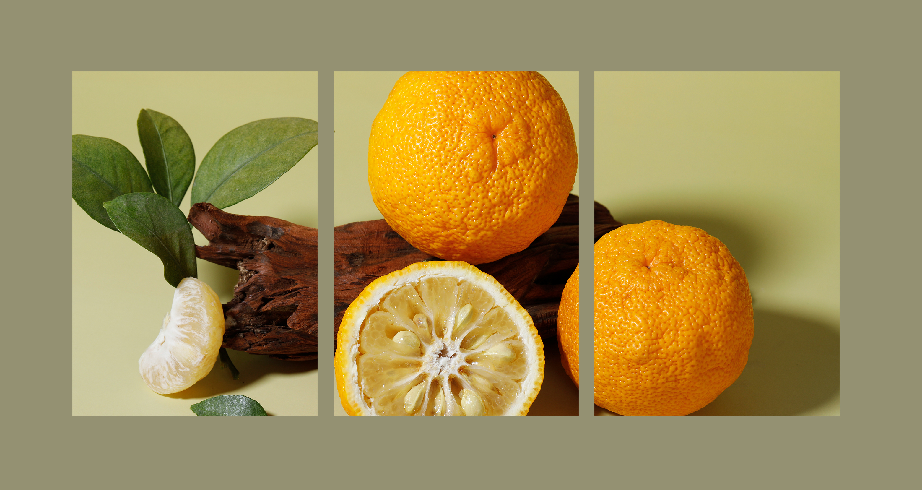 新品丨柚子，全新升级！